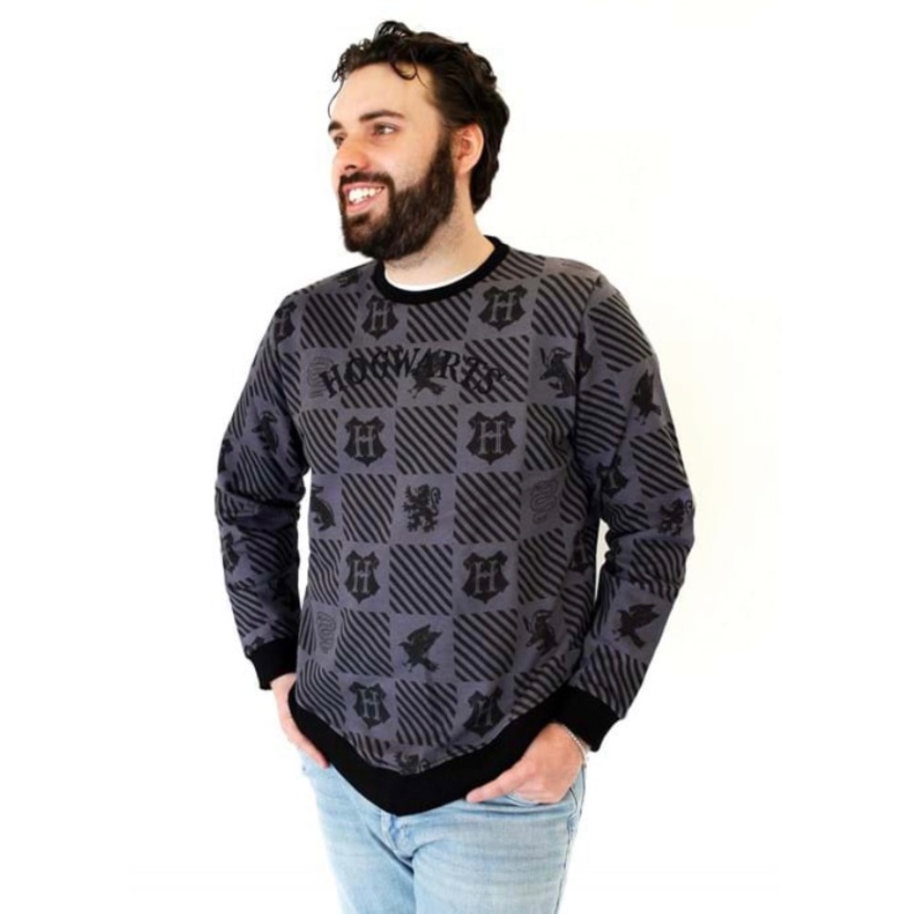 Harry Potter UNISEX CAKE WORTHY Sweater Small